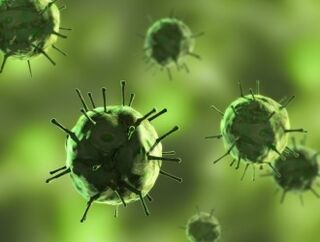 Bacteria causing diseases in which mucosal secretions occur