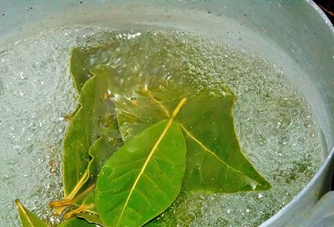Decoction of bay leaf for a relaxing bath for potency problems