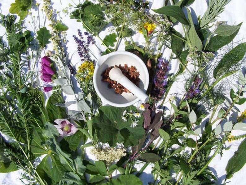 treatment of potency with herbs